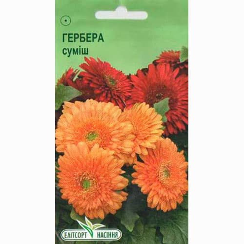 Гербера Осенние краски, смесь окрасок Элитсорт рисунок 1 артикул 95100