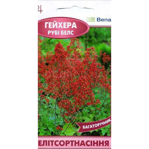 Гейхера Руби Беллз Элитсорт рисунок 1 артикул 90841