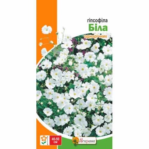 Гіпсофіла бiла зображення 1 артикул 72994