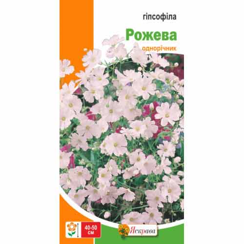 Гіпсофіла рожева Яскрава зображення 1 артикул 72995