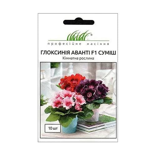 Глоксинія Аванті F1, суміш забарвлень Професійне насіння зображення 1 артикул 66302