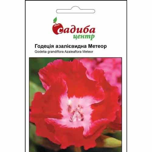 Годеция Метеор Садыба центр рисунок 1 артикул 89185