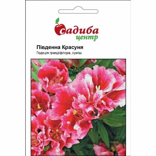 Годеція грандіфлора Південна Красуня Садиба центр зображення 1 артикул 87628