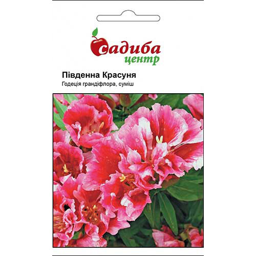 Годеция Южная красавица Садыба центр рисунок 1 артикул 89186