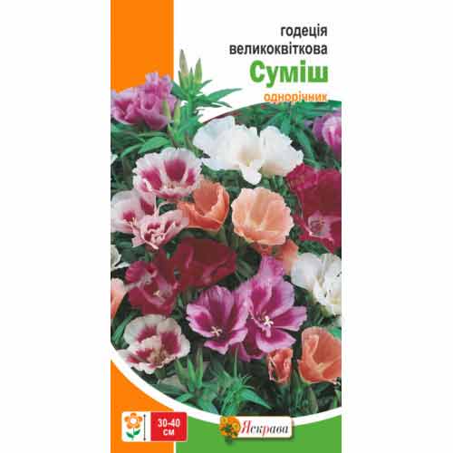 Годецiя великоквiткова, сумiш забарвлень Яскрава зображення 1 артикул 72137