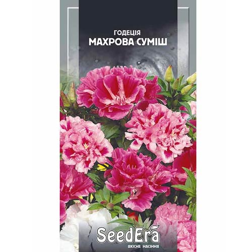 Годеція махрова, суміш забарвлень Seedera зображення 1 артикул 66401