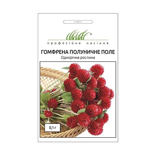 Гомфрена Полуничне поле Професійне насіння зображення 1 артикул 72138
