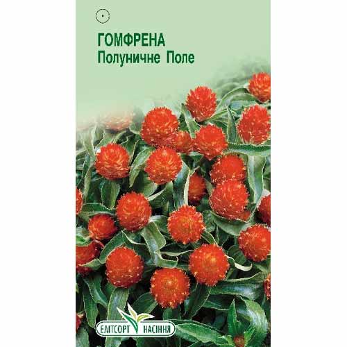 Гомфрена Клубничное поле Элитсорт рисунок 1 артикул 85941