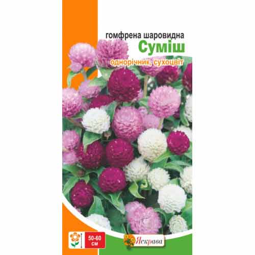 Гомфрена шаровидна, сумiш забарвлень Яскрава артикул фото 1 Гомфрена шаровидна, сумiш забарвлень Яскрава зображення 1 артикул 99774