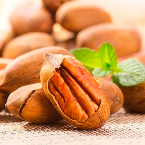 Горіх пекан Бартон зображення 1 артикул 1611