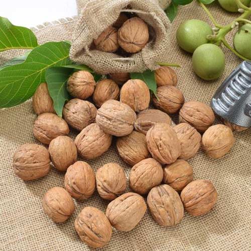 Горіх волоський (грецький) Десертний зображення 1 артикул 4177