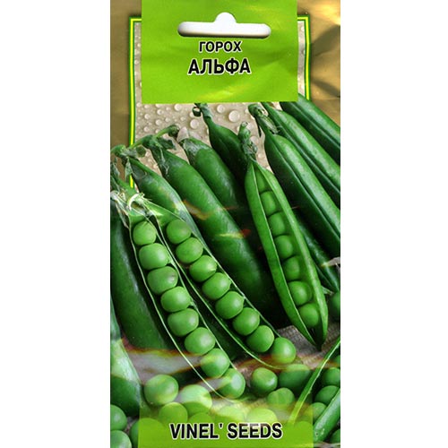 Горох Альфа Vinel seeds, семена рисунок 1 артикул 95521