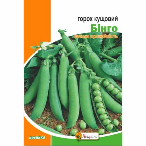 Горох цукровий Бінго Яскрава зображення 1 артикул 99832
