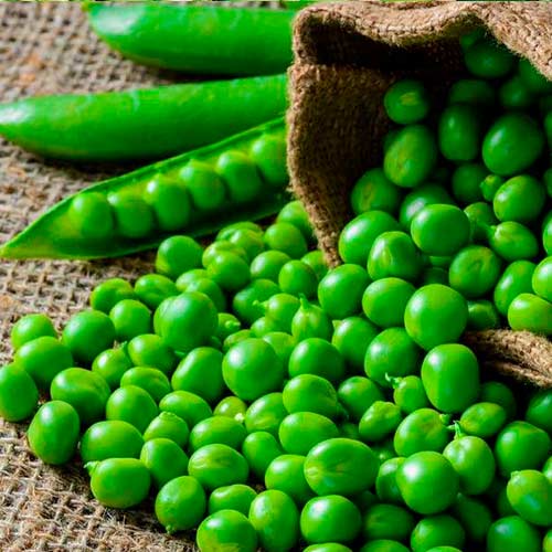 Горох Фаворит Империя семян рисунок 1 артикул 95244