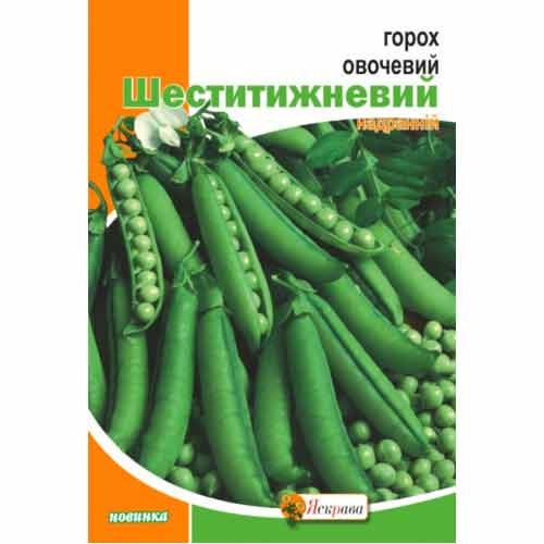 Горох Шеститижневий Яскрава зображення 1 артикул 72141