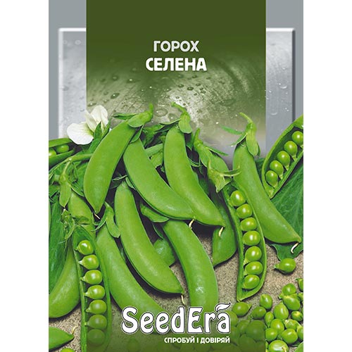 Горох Селена Seedera, семена рисунок 1 артикул 95043