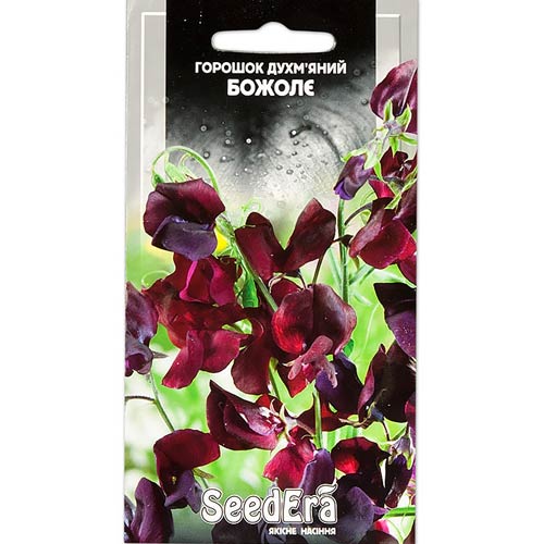 Горошок запашний Божолє Seedera зображення 1 артикул 89931
