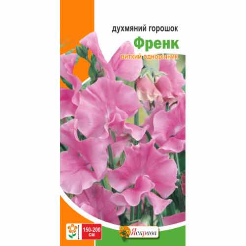 Горошок запашний Френк Яскрава зображення 1 артикул 72993