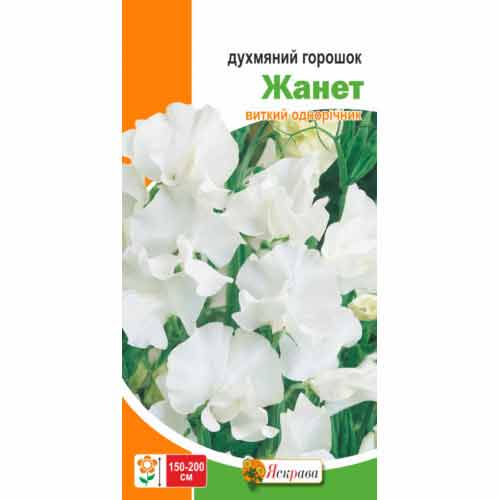 Горошок духмяний Жанет зображення 1 артикул 90436