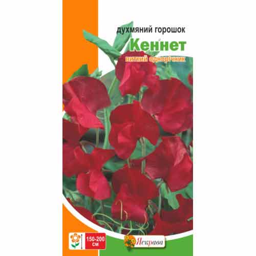 Горошок запашний Кеннет Яскрава зображення 1 артикул 72988