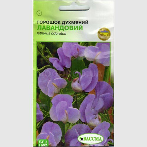 Горошок запашний Лавандовий Seedera зображення 1 артикул 72989