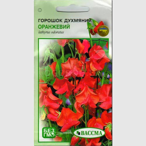 Горошок запашний оранжевий Seedera зображення 1 артикул 72990