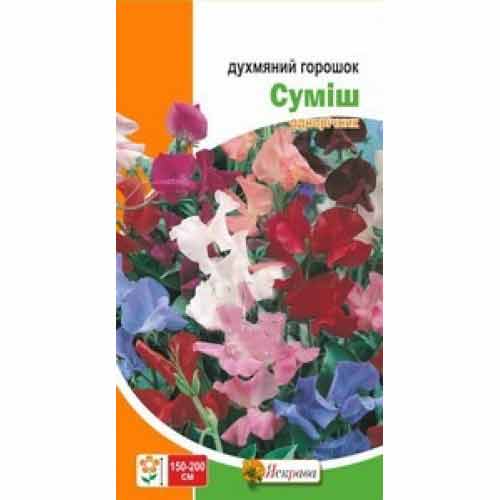 Горошок запашний, суміш забарвлень Яскрава артикул фото 1 Горошок запашний, суміш забарвлень Яскрава зображення 1 артикул 72166