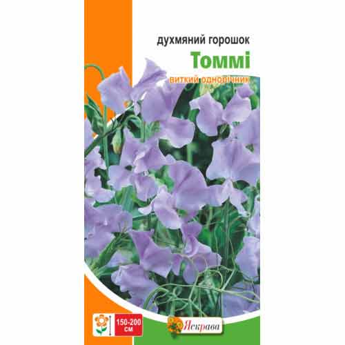 Горошок запашний Томмі Яскрава зображення 1 артикул 72992