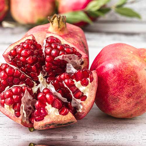 Гранат Ак Дона, саджанці зображення 1 артикул 4171