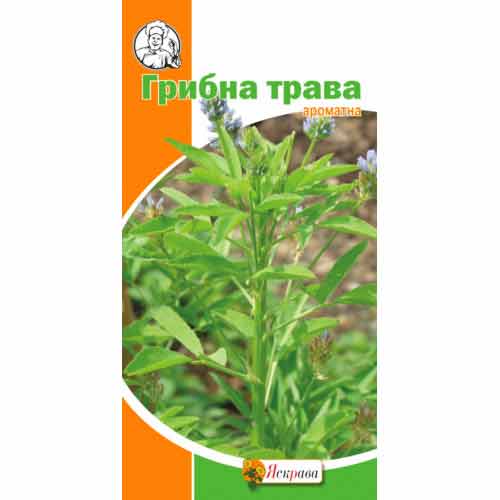 Грибная трава Яскрава рисунок 1 артикул 99835