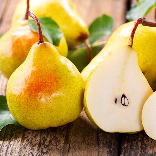 Груша Дюшес літній зображення 1 артикул 7418