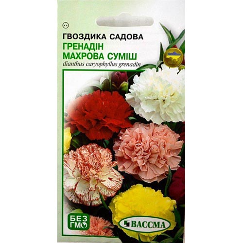 Гвоздика Гренадин махровая, смесь окрасок Seedera рисунок 1 артикул 66392