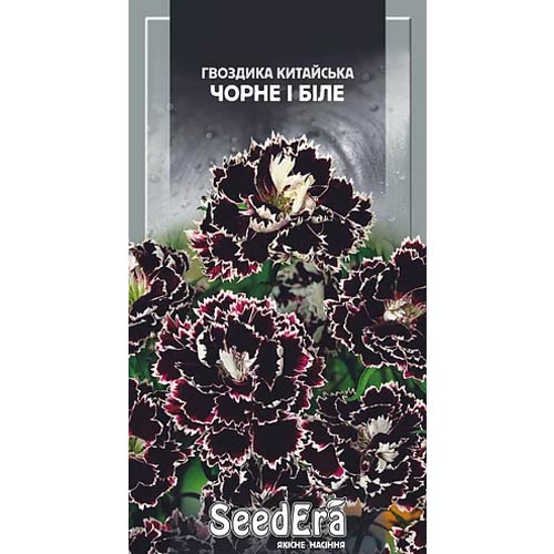 Гвоздика китайская Черное и белое Seedera рисунок 1 артикул 66259