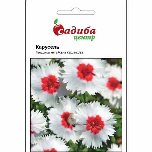 Гвоздика китайська карликова Карусель Садиба центр зображення 1 артикул 89168