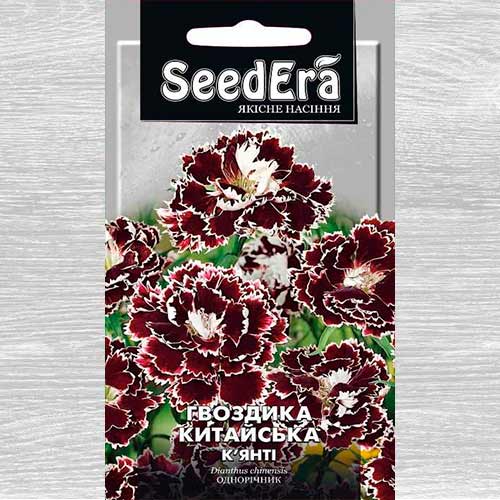 Гвоздика китайская Кьянти рисунок 1 артикул 72975