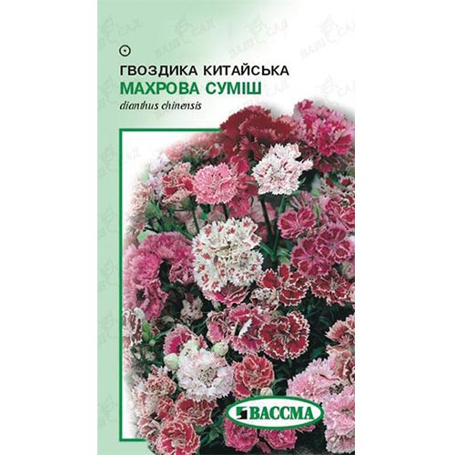 Гвоздика китайська Махрова, суміш забарвлень Seedera зображення 1 артикул 66258