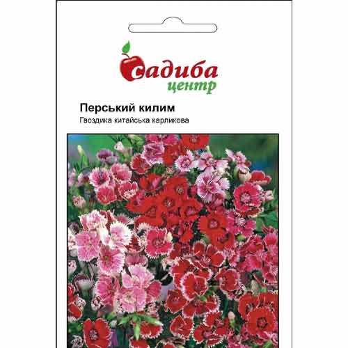 Гвоздика китайская карликовая Персидский Ковер Садиба центр рисунок 1 артикул 89169