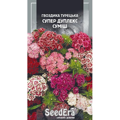 Гвоздика турецкая Супер Дуплекс, смесь окрасок Seedera рисунок 1 артикул 94949