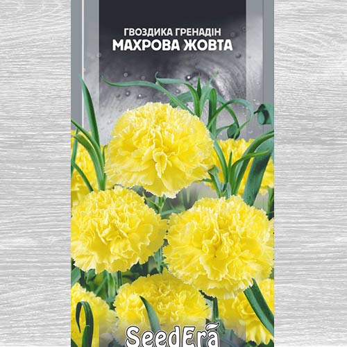 Гвоздика махрова Гренадін жовта артикул фото 1 Гвоздика махрова Гренадін жовта зображення 1 артикул 72977