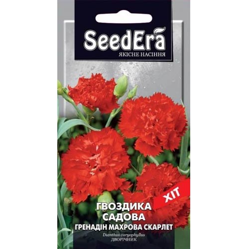 Гвоздика махровая Гренадин Скарлет Seedera рисунок 1 артикул 89925