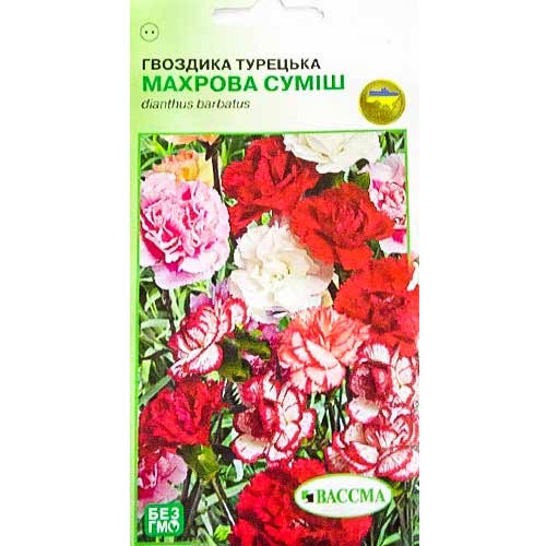 Гвоздика махровая Турецкая, смесь окрасок Seedera рисунок 1 артикул 89926