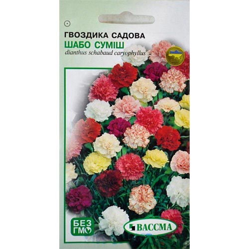 Гвоздика Шабо, смесь окрасок Seedera рисунок 1 артикул 66260