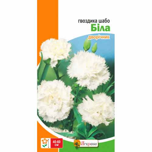 Гвоздика Шабо белая Яскрава рисунок 1 артикул 99771