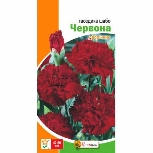 Гвоздика Шабо красная Яскрава рисунок 1 артикул 99773