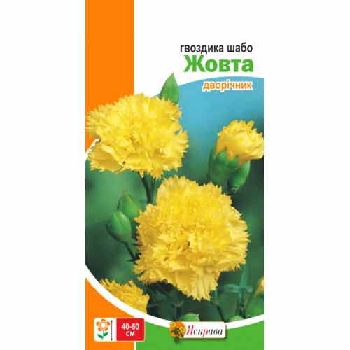 Гвоздика Шабо желтая Яскрава рисунок 1 артикул 99772