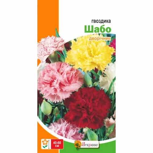 Гвоздика Шабо, суміш забарвлень Яскрава зображення 1 артикул 72981