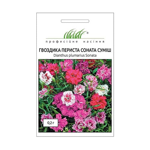 Гвоздика Соната, суміш забарвлень Професійне насіння зображення 1 артикул 72125
