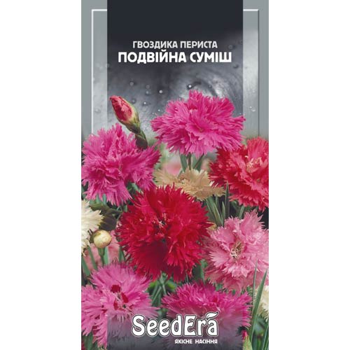 Гвоздика травянка Красная Seedera рисунок 1 артикул 72979