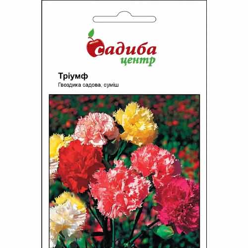 Гвоздика Триумф, смесь окрасок рисунок 1 артикул 72747
