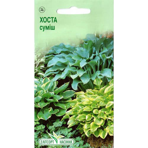 Хоста, смесь окрасок Элитсорт рисунок 1 артикул 95126